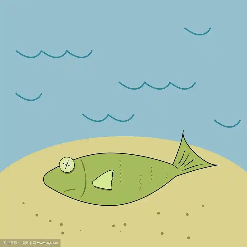 白色背景上的死鱼