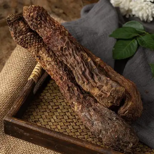 肉苁蓉与其他补肾壮阳中草药的区别