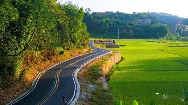 茂名乡村美如画,电白这个镇却因"烂"遭省台曝光_霞洞镇