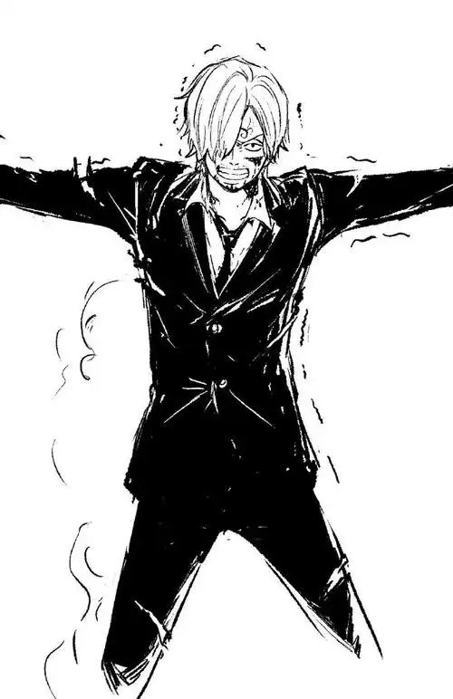 海贼王#黑白山治.twitter@chiefvinsmoke