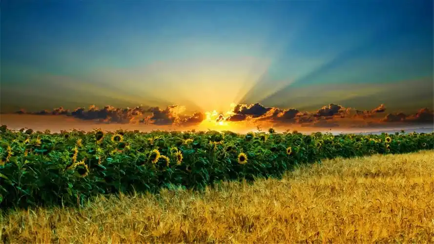 夕阳西下唯美电脑桌面壁纸