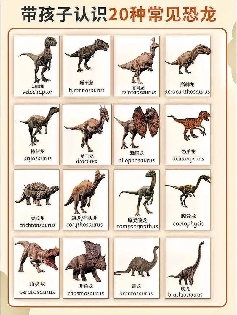 认识恐龙0304.#恐龙 #恐龙世界 #恐龙来了 #恐龙之王 - 抖音