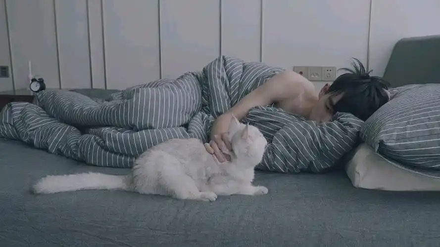 余庆伟vlog原视频