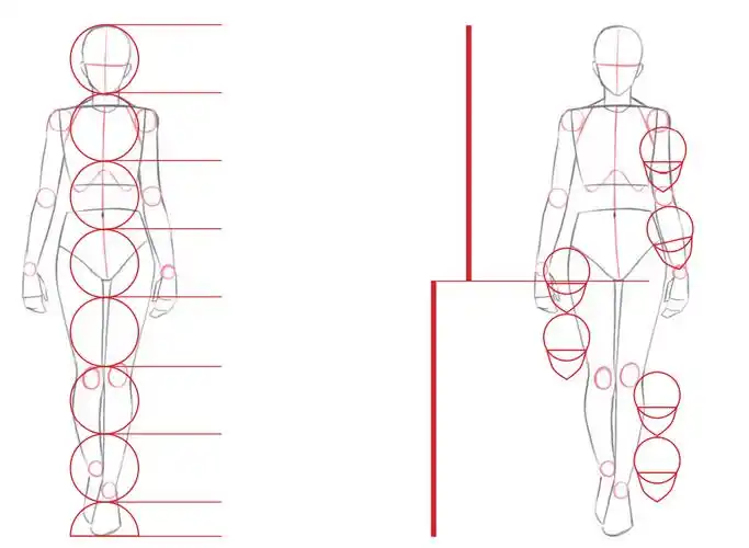 漫画人物结构画不好?看看别人是怎么画的(强烈建议收藏)