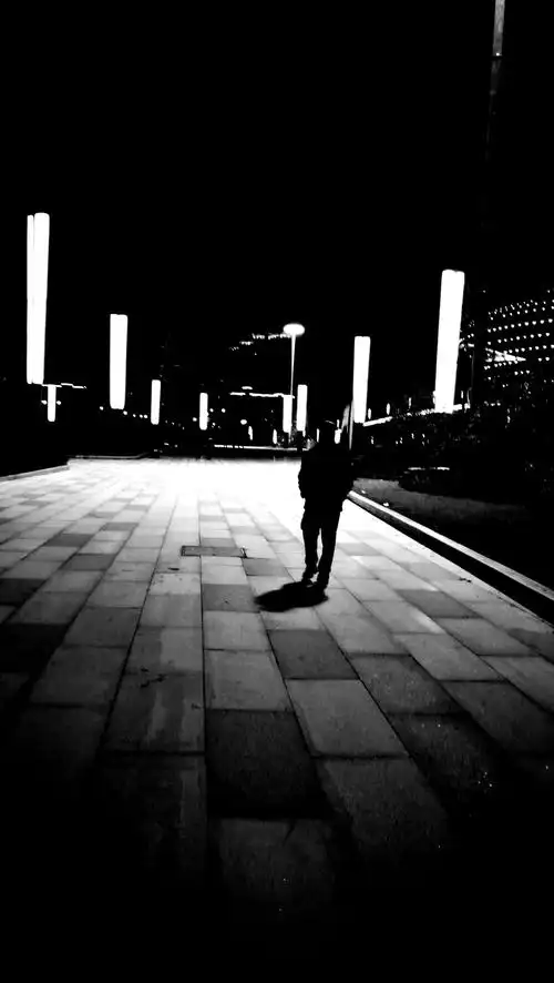 江苏大剧院丁酉年初四之夜