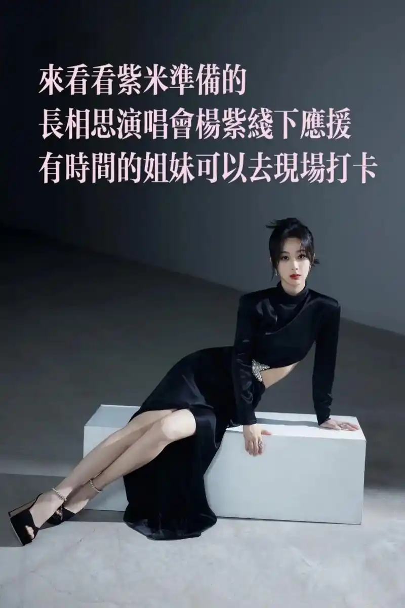 杨紫长相思演唱会线下应援