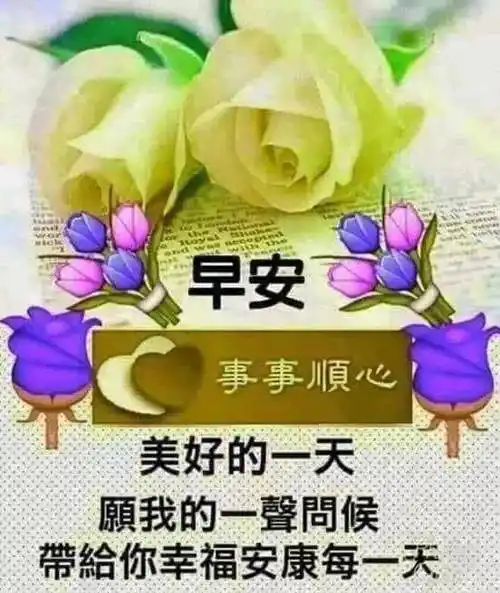 8张创意好看的夏日早安祝福图片带字 不用打字聊天夏天早上好问候祝福