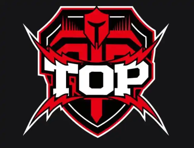 top,一只新星强队正在崛起_战队