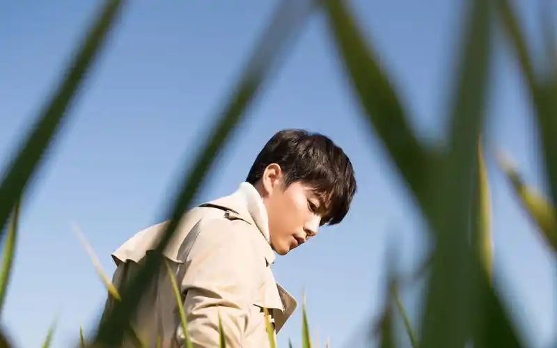 【马天宇】-《生生不息》mv~电视剧《凉生,我们可不可以不忧伤》片尾