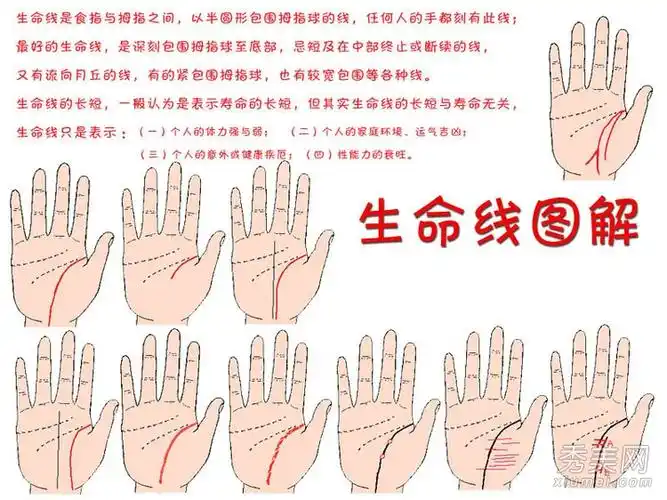 女性  命理手相面相分析相术命运    生命纹的长短并不代表寿命的长短