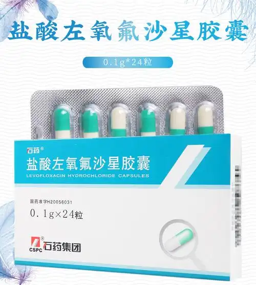 石药抗细菌类 石药 盐酸左氧氟沙星胶囊 0.