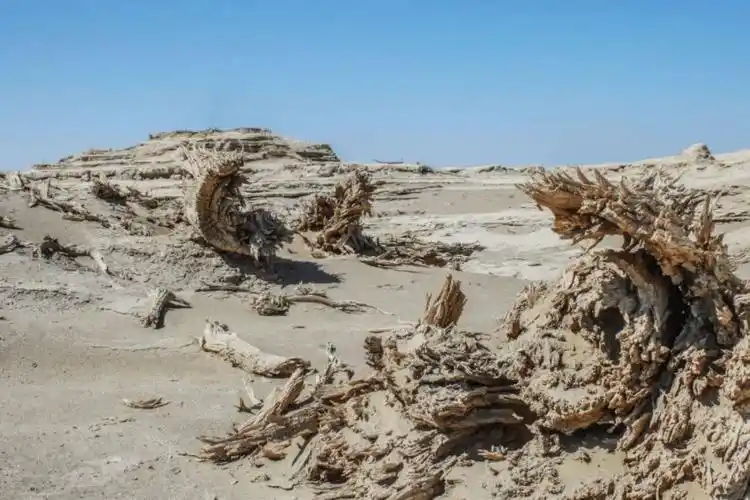 干涸60多年的罗布泊奇迹复活,碧波荡漾的背后,到底是不是好事?