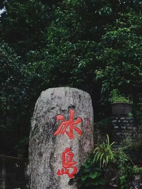 普洱茶之巅冰岛老寨篇一