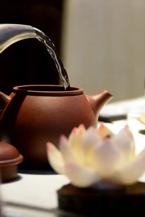 心静禅意的优美句子