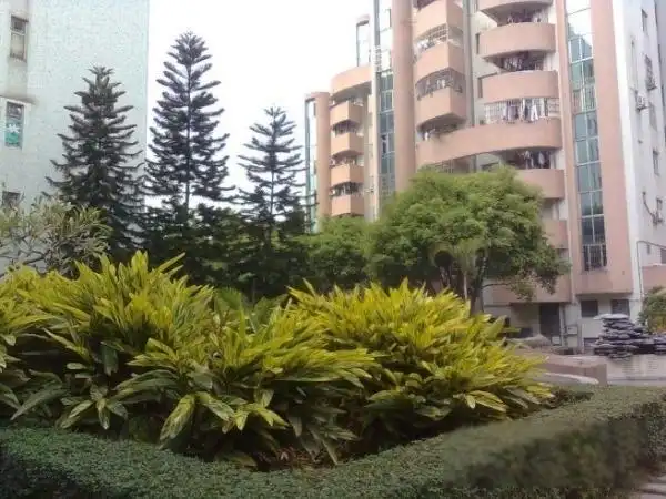 交通便利 拎包入住 精装修_广州金城花园二手房-推推99广州房产网