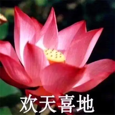 荷花头像带四个字 佛系静心的荷花带字微信头像图片_文字头像_头像屋