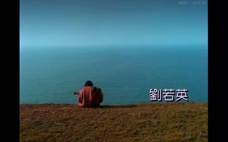 刘若英—为爱痴狂 原版mv