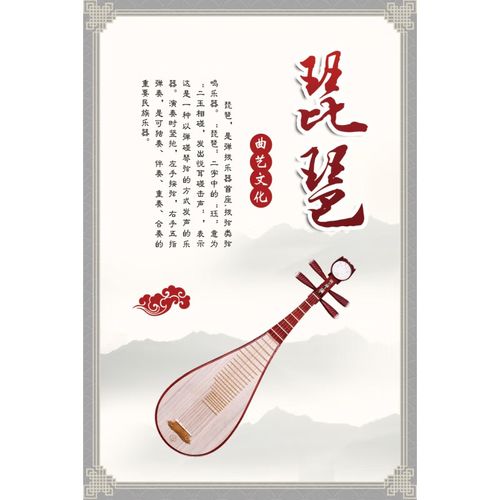 海报简介音乐知识介绍钢琴挂画像教室布置挂图琴行房墙贴 yyj801琵琶