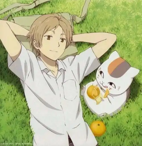 叮叮叮夏目友人帐粉集合啦