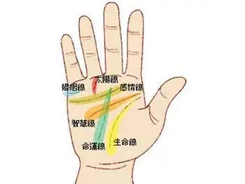 婚姻线三条多少岁结婚