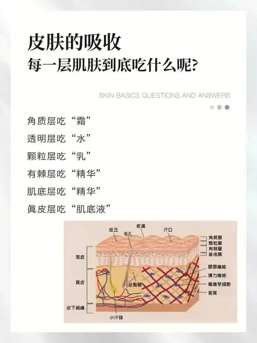 73角质层吃"霜"7