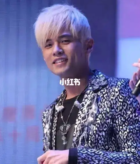 除了白毛伦跟紫毛伦这两个人,好像没人能打败周杰伦了#话题  #小红书