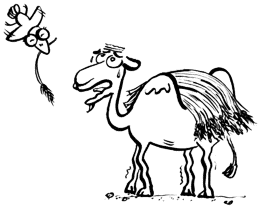 ui设计——最后一根稻草