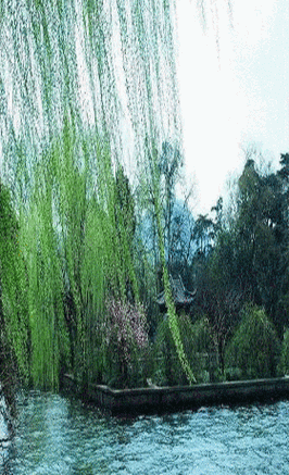 00下载设置:允许下载曲风:流行 新世纪语种:华语分类:翻唱原唱:杨钰莹