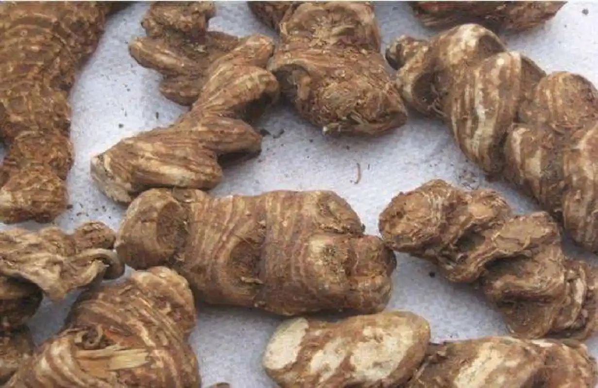 看故事学中药(重楼) 重楼中药故事重楼又名七叶一枝花,据传,这味草药