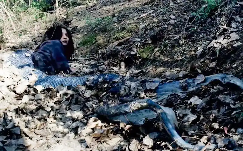 美人鱼被切掉尾巴,被迫参与活体实验,没想身体却发生变异