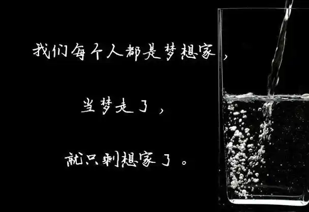 我们每个人都是梦想家,当梦走了,就只剩想家了.13.