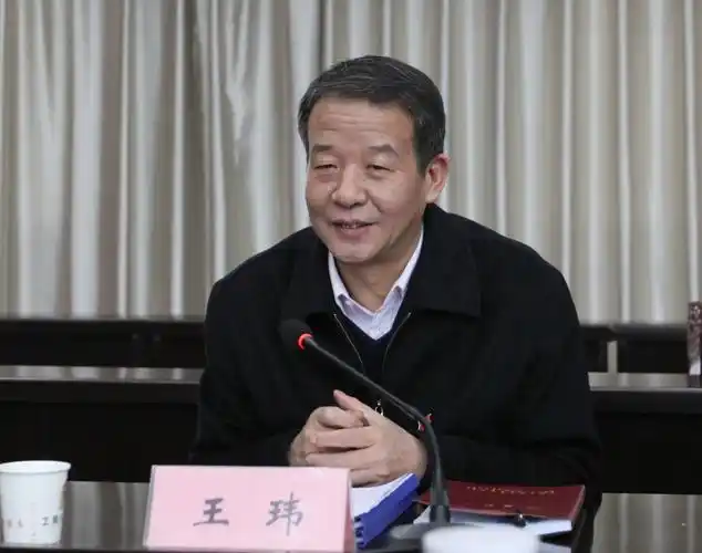 【纪委书记谈体会】王玮:一刻不停歇地推动全面从严治党向纵深发展