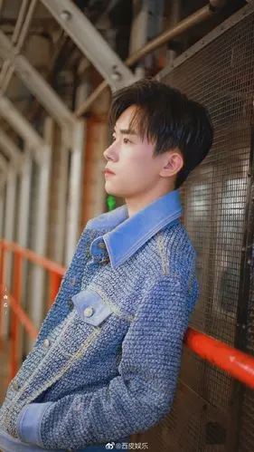 陈伟霆,张艺兴,欧阳娜娜,李玉刚,于莎莎,易烊千玺,时代少年团等,堪