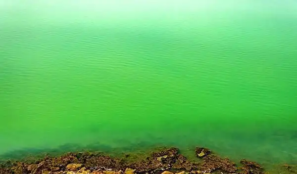 绿海 :位于沙特阿拉伯和伊朗之间;因曾有过大量绿色藻类;而得名绿海.