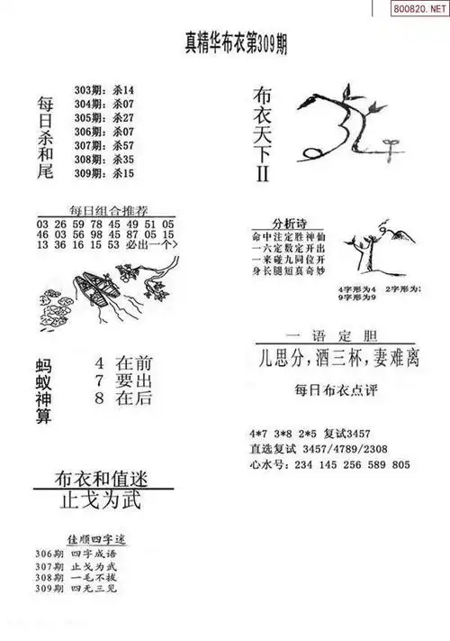 19309期真精华布衣123456