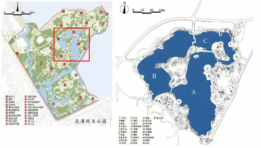 风景园林设计分享花港观鱼的水系分析