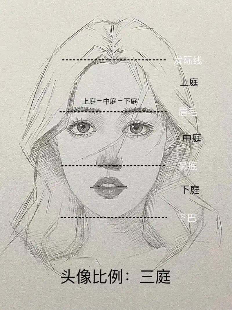 超详细人像比例教程.#素描 #一起学画画 #跟着抖音学画画 - 抖音