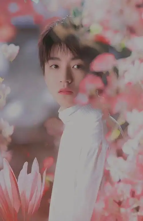 王俊凯叱咤风云的校园生活(王俊凯叱咤风云的校园生活)(1)