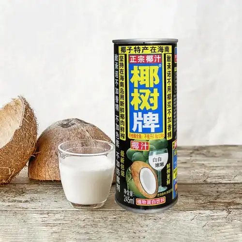 椰树椰汁正宗植物蛋白椰奶椰汁245ml24罐海南特产