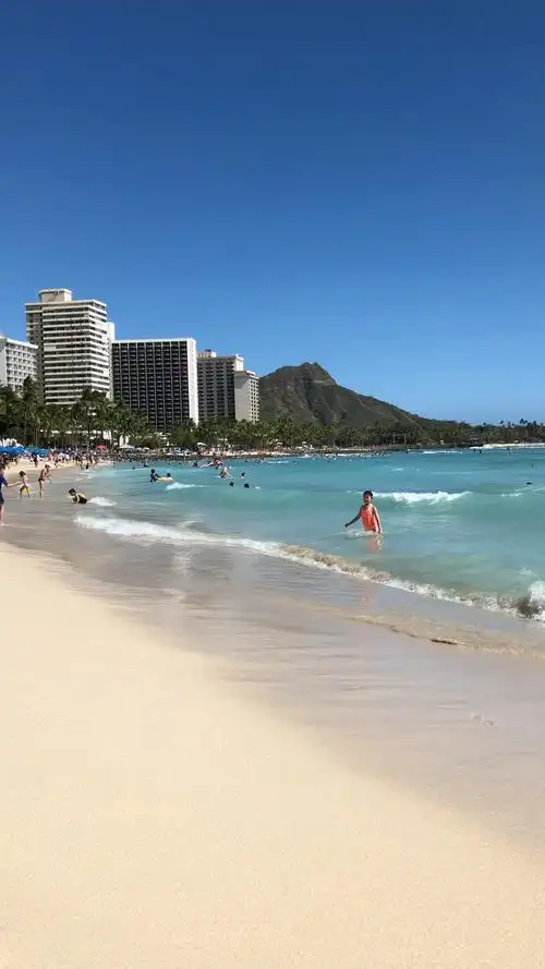 美丽的夏威夷海滩!