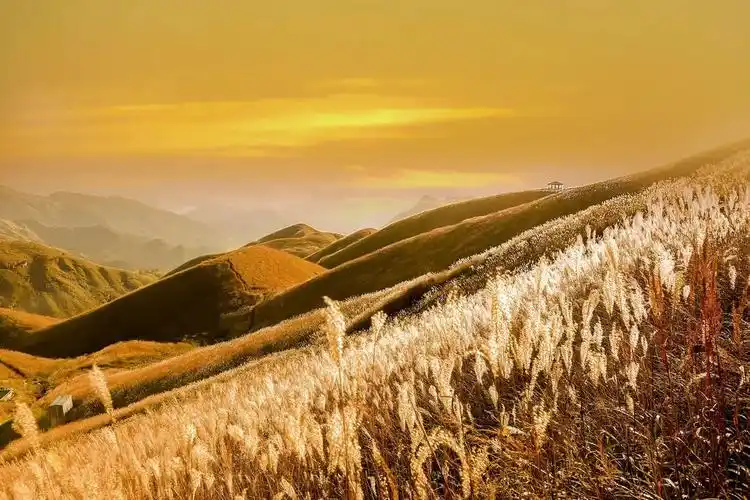 武功一景高山草甸