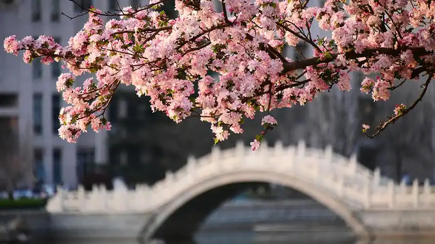 致校园的"每一个"你 - 潍坊学院大学生网络传媒中心 - 中国大学生在线