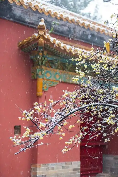 你们要的雪景,来了!