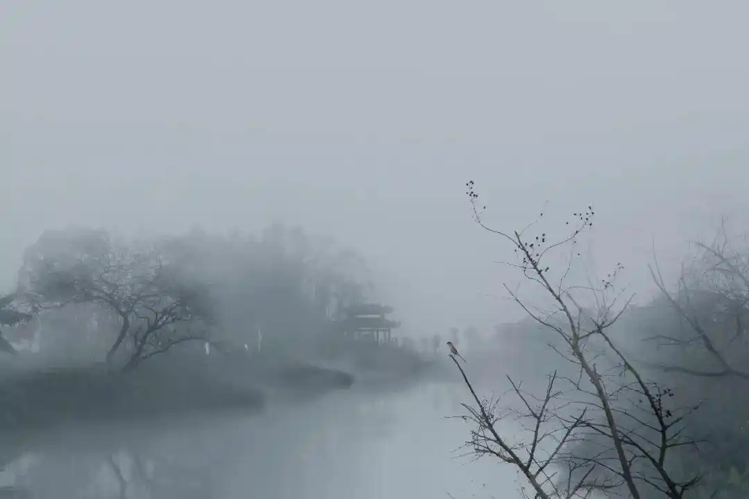 烟雨麻涌