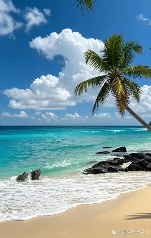 阳光沙滩椰子树,海浪轻拍小石头,这样的假日,简直美翻了!