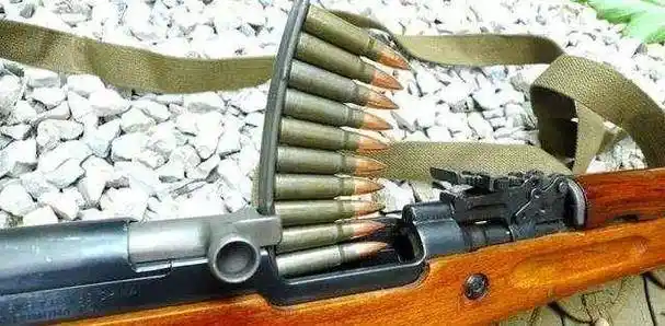 原创死刑犯被枪决时一枪不死怎么办子弹的费用为何要由犯人承担