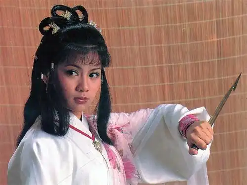 追忆星光回忆从翁美玲开始之射雕英雄传