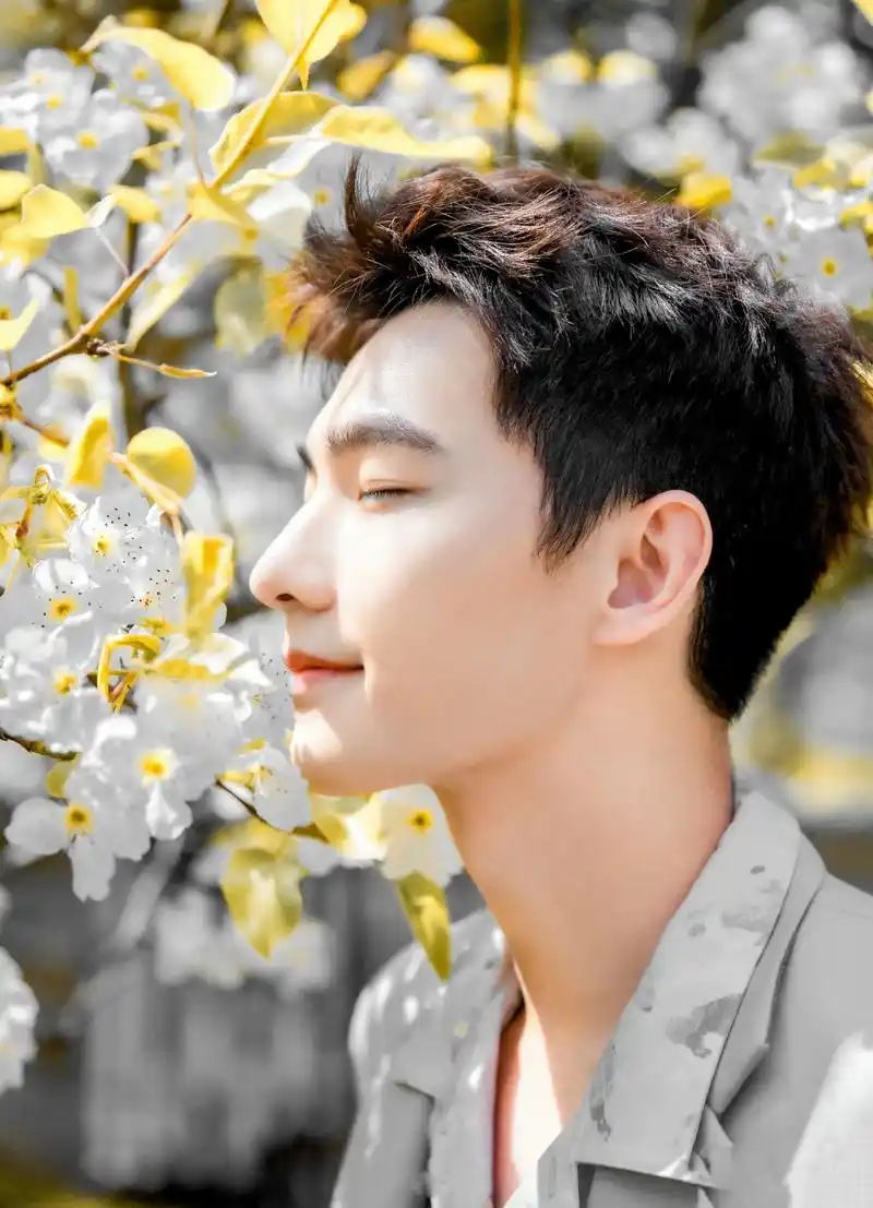 杨洋帅照美照合集