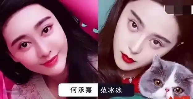 她通过一步步的磨骨开眼角儿等等,终于把自己整成了范冰冰的另一个"