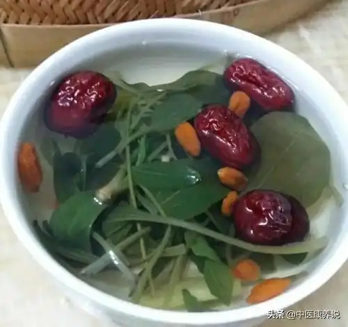 尿酸克星车前草